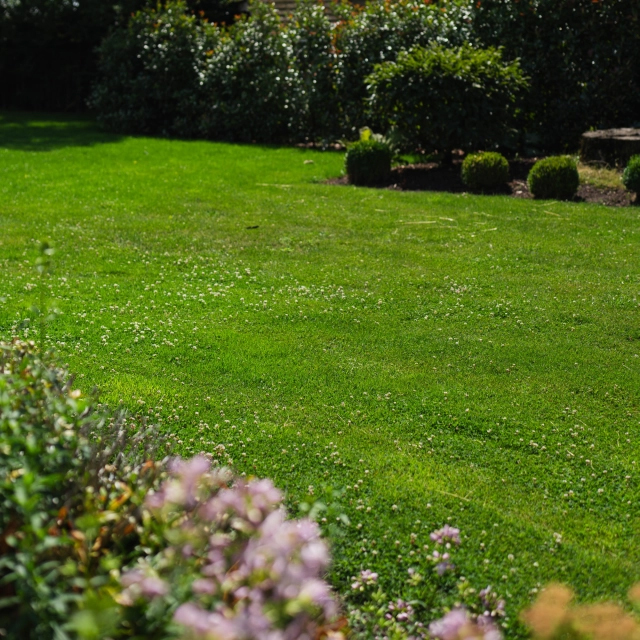 DLF Turfline EasyGreen