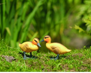 Ubbink plastová dekorácia Káčatká žlté